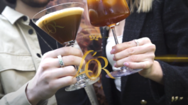 LOR PROFESSIONAL WERICHOVA VILA EVENT