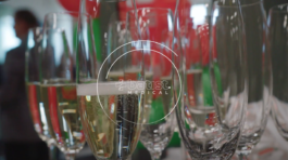 Snímek obrazovky 2024-06-25 202859